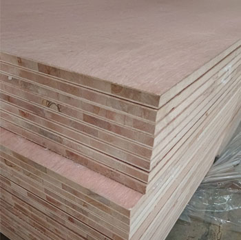 Commercial Plywood